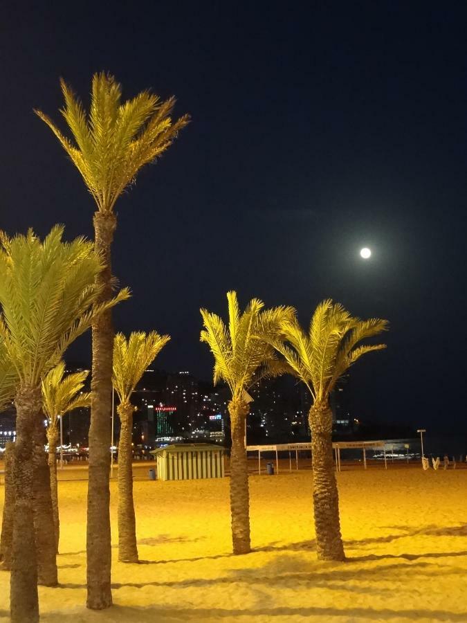 Best View - Welcome Penthouse Apartamentos Karola Benidorm Eksteriør billede