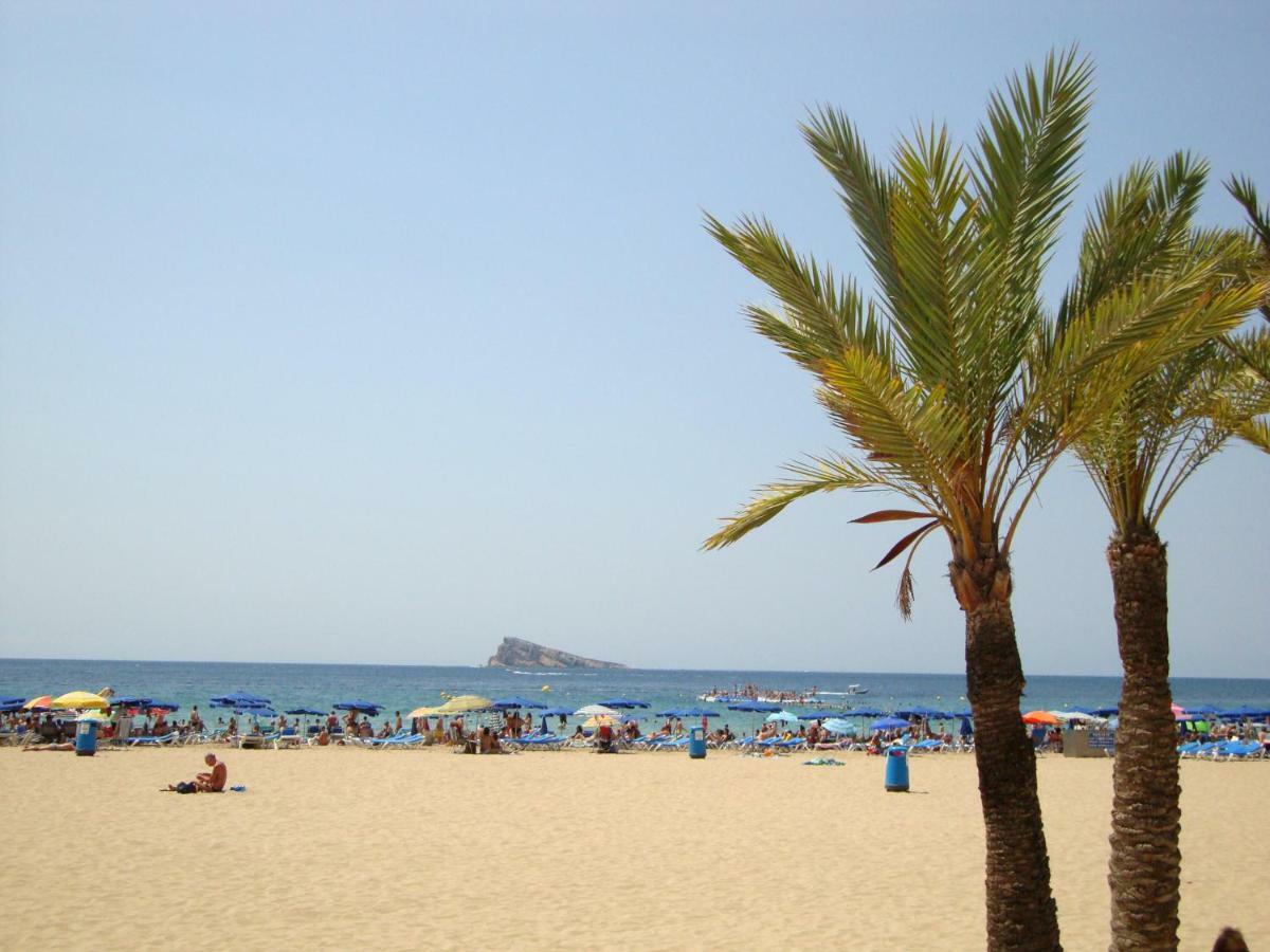 Best View - Welcome Penthouse Apartamentos Karola Benidorm Eksteriør billede