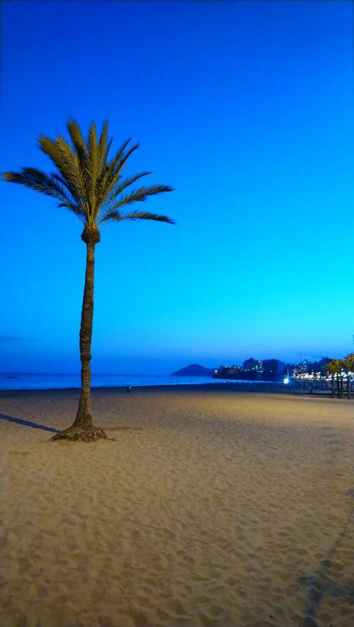 Best View - Welcome Penthouse Apartamentos Karola Benidorm Eksteriør billede